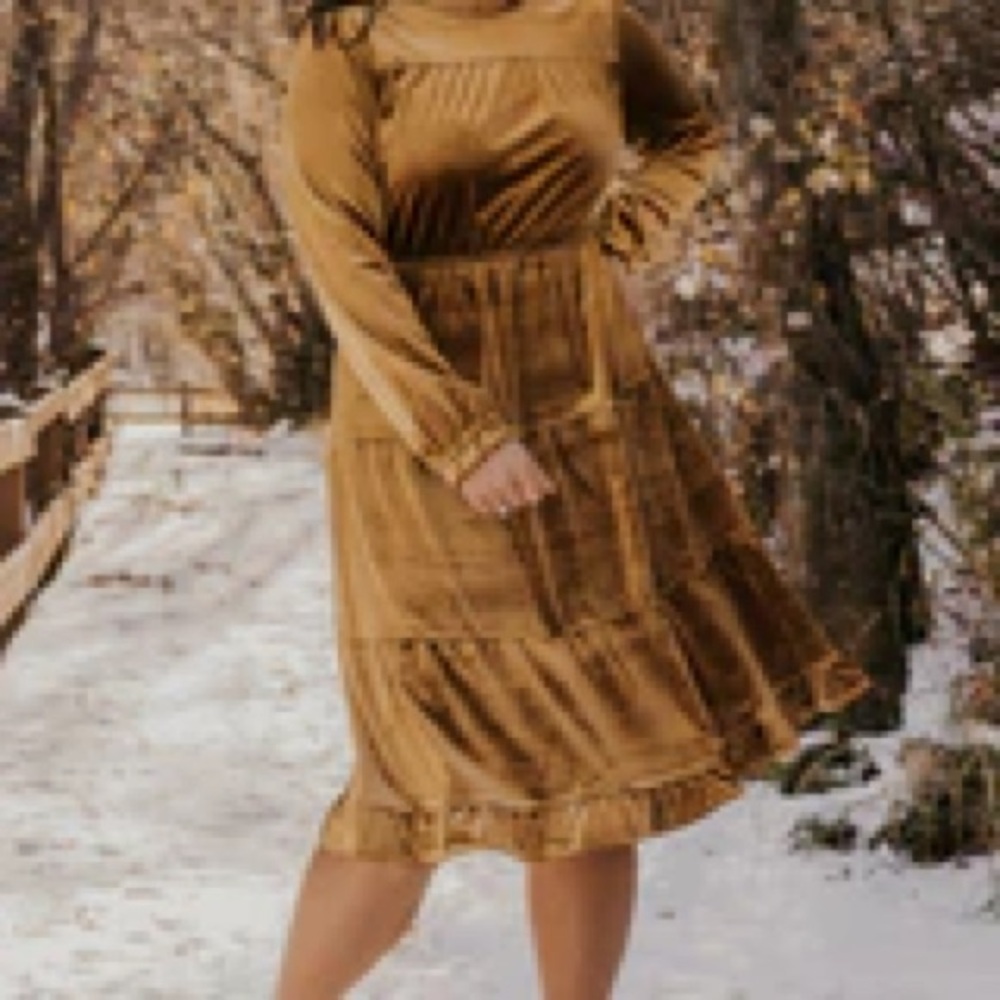 Roolee velvet long sleeve dress • size S • golden